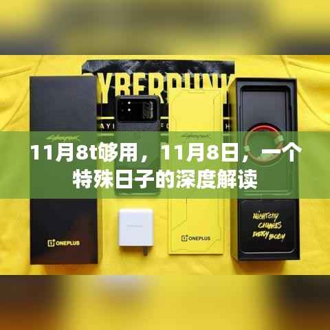 特殊日子深度解读,11月8日的含义与影响