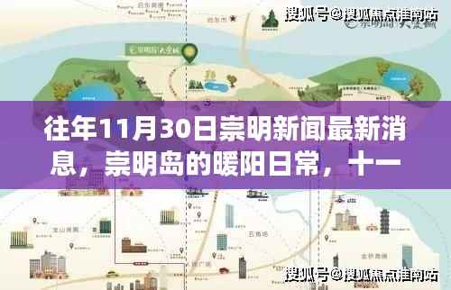 崇明岛暖阳日常,十一月三十日的新闻与温馨故事