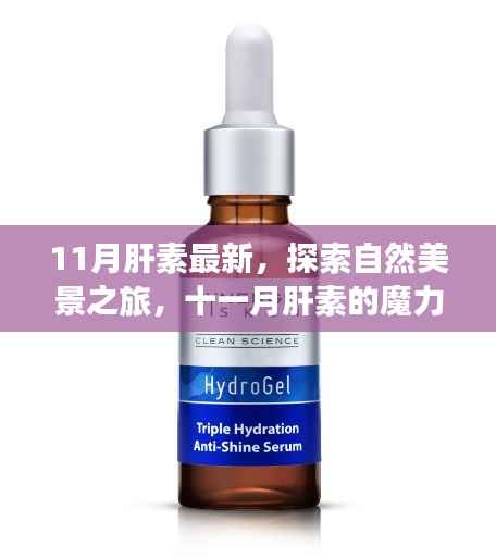 11月肝素最新,探索自然美景之旅,十一月肝素的魔力与宁静之旅的呼唤