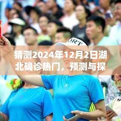 2024年湖北确诊热门展望,预测与探讨