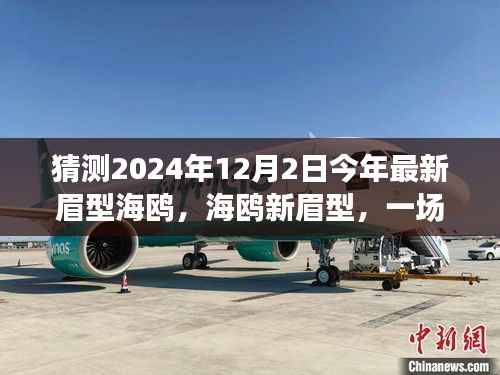 探寻内心平静的时尚之旅,海鸥新眉型引领2024年最新时尚潮流