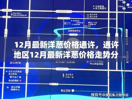 通许地区12月最新洋葱价格分析与走势预测
