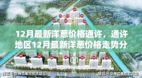 通许地区12月最新洋葱价格分析与走势预测