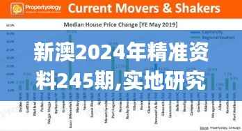 新澳2024年精准资料245期,实地研究数据应用_经典款9.257