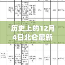 历史上的12月4日北仑最新土拍房,全攻略与步骤指南