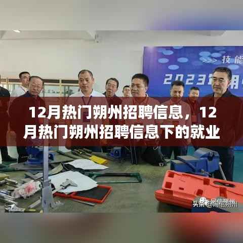 12月朔州热门招聘信息解析，就业市场观察与个人观点