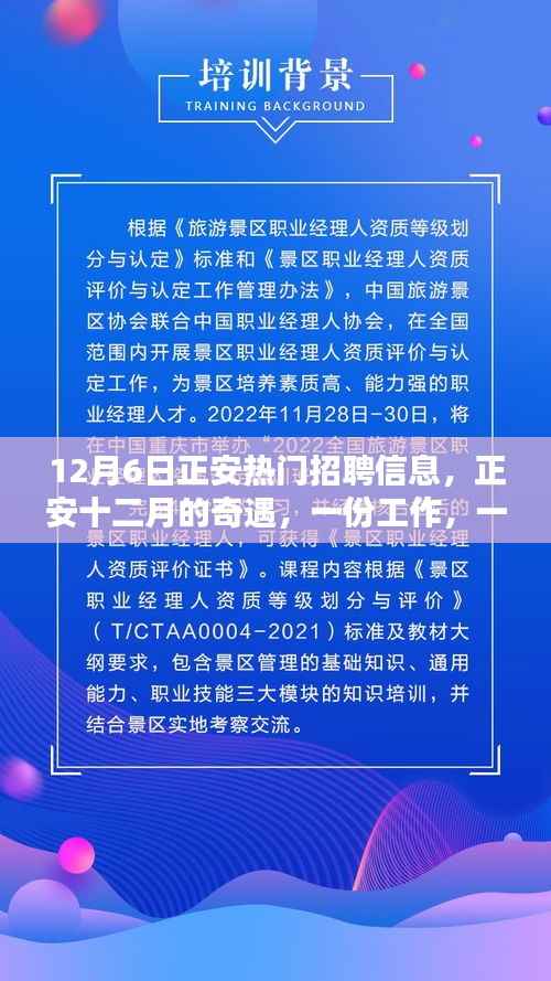 正安十二月热门招聘,工作、友情与爱,一路相伴的奇遇