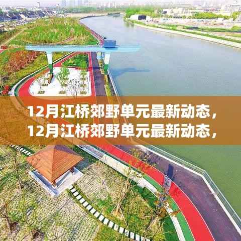 百鸟归巢 第4页