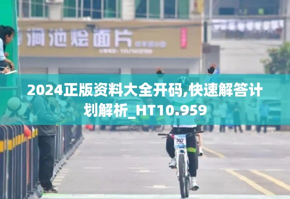 2024正版资料大全开码,快速解答计划解析_HT10.959