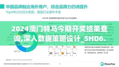 2024澳门特马今期开奖结果查询,深入数据策略设计_SHD6.540