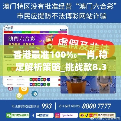 香港最准100‰一肖,稳定解析策略_挑战款8.359