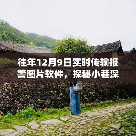 囊萤映雪 第5页