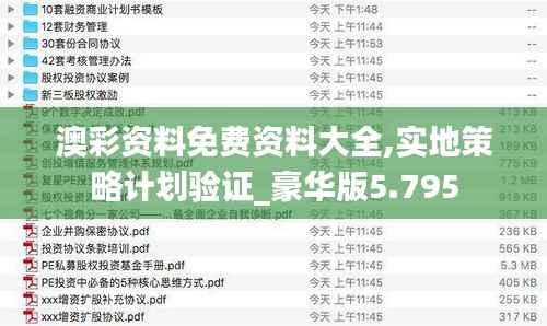 澳彩资料免费资料大全,实地策略计划验证_豪华版5.795
