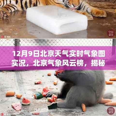 揭秘,北京气象风云榜下的实时气象图实况(12月9日)