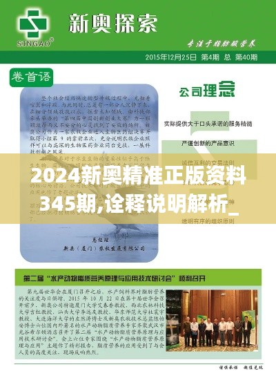 2024新奥精准正版资料345期,诠释说明解析_P版3.232