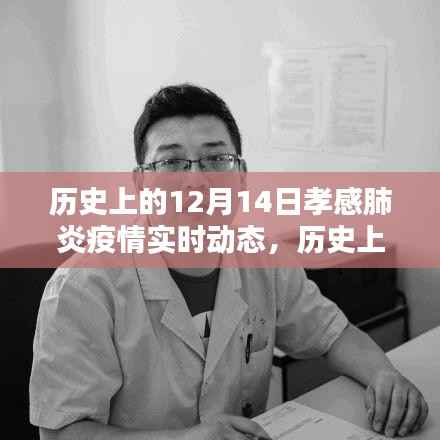 历史上的12月14日孝感肺炎疫情实时动态，多元观点下的探讨与影响分析
