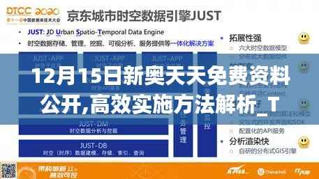 12月15日新奥天天免费资料公开,高效实施方法解析_T10.352