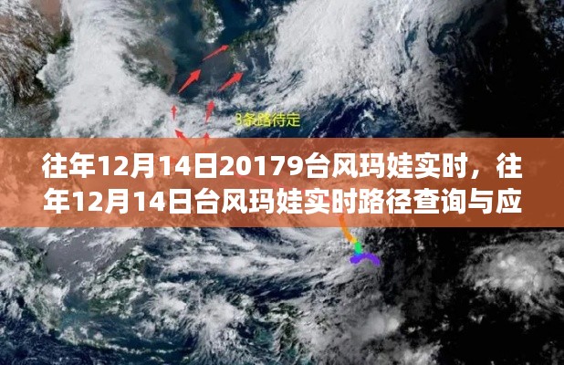 台风玛娃实时路径查询与应对指南,往年12月14日回顾与指南