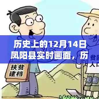 历史上的凤阳,12月14日阳光下的启示与成长之路