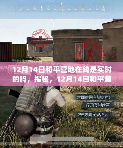 揭秘,12月14日和平营地在线实时状态深度解析