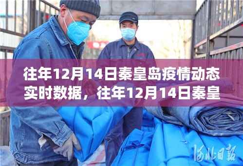 多维度视角下的审视与观点阐述,往年秦皇岛疫情动态实时数据回顾(历年12月14日篇)