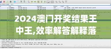 2O24澳门开奖结果王中王,效率解答解释落实_VR3.271