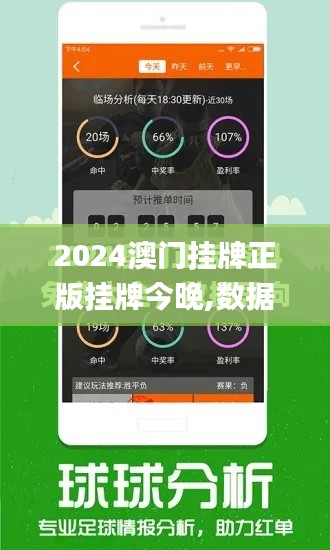 2024澳门挂牌正版挂牌今晚,数据解析计划导向_限量款7.502