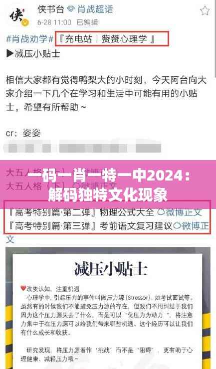 一码一肖一特一中2024:解码独特文化现象