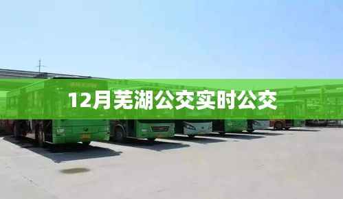 芜湖公交实时查询系统，12月最新公交动态