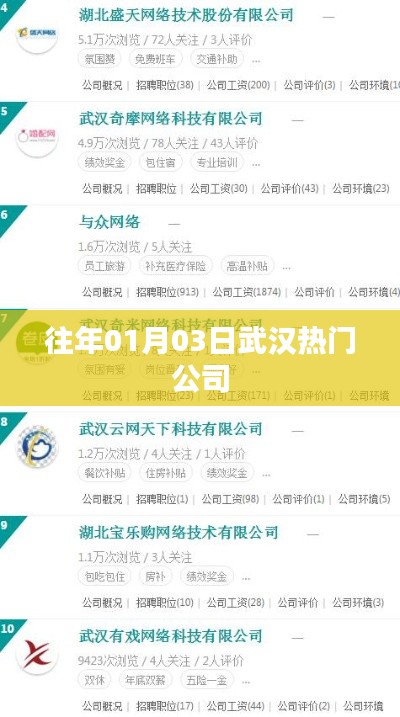 粗枝大叶 第3页