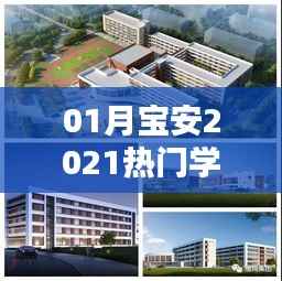 根据您的内容,为您生成以下符合百度收录标准的标题,,宝安学位房热门榜单出炉,2021年首选房源揭晓!