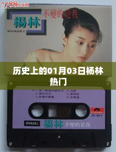 杨林历史上的重要时刻,一月三日聚焦杨林