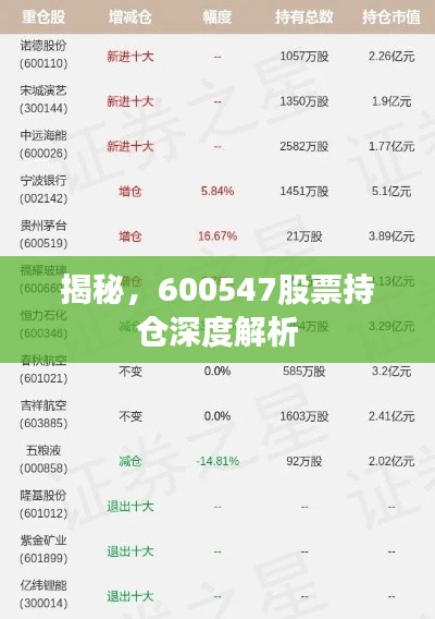 揭秘,600547股票持仓深度解析