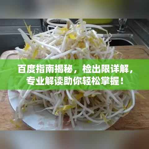 百度指南揭秘,检出限详解,专业解读助你轻松掌握!