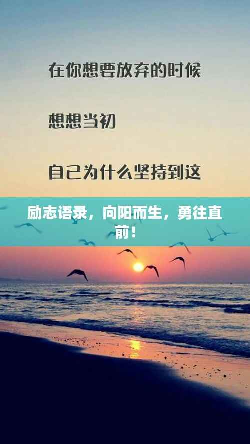 励志语录,向阳而生,勇往直前!
