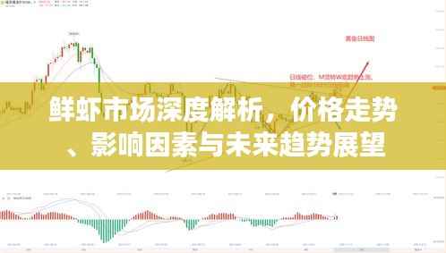 鲜虾市场深度解析,价格走势、影响因素与未来趋势展望