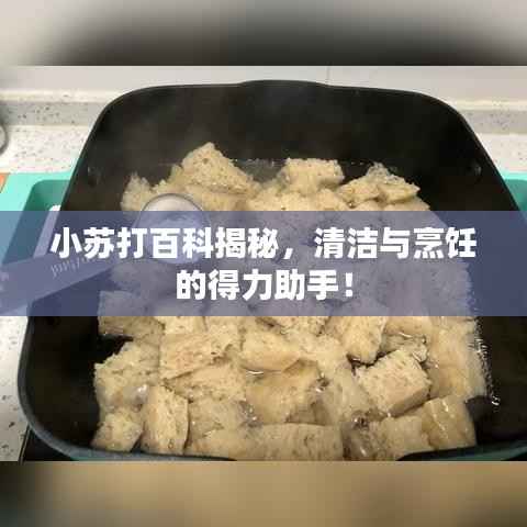小苏打百科揭秘,清洁与烹饪的得力助手!