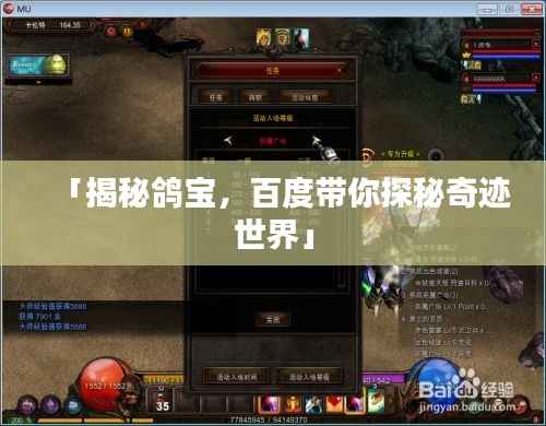 「揭秘鸽宝,百度带你探秘奇迹世界」