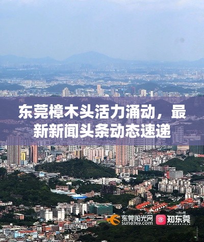 成功案例 第147页