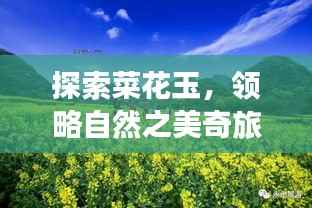 探索菜花玉,领略自然之美奇旅