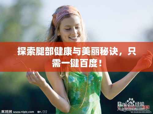 探索腿部健康与美丽秘诀,只需一键百度!