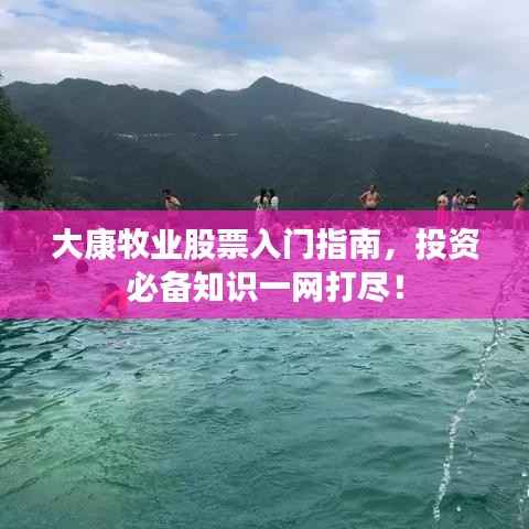 大康牧业股票入门指南,投资必备知识一网打尽!