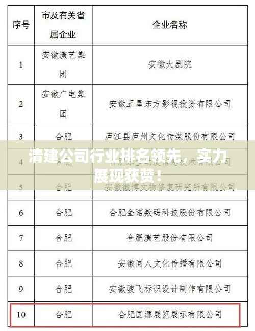 清建公司行业排名领先，实力展现获赞！