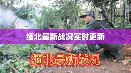 缅北最新战况实时更新