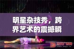 明星杂技秀,跨界艺术的震撼瞬间
