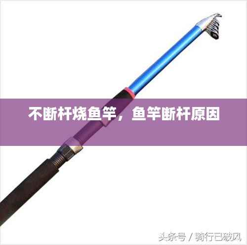 不断杆烧鱼竿,鱼竿断杆原因