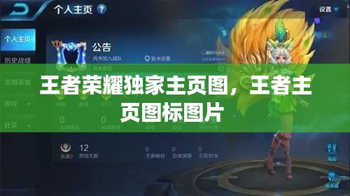 王者荣耀独家主页图,王者主页图标图片