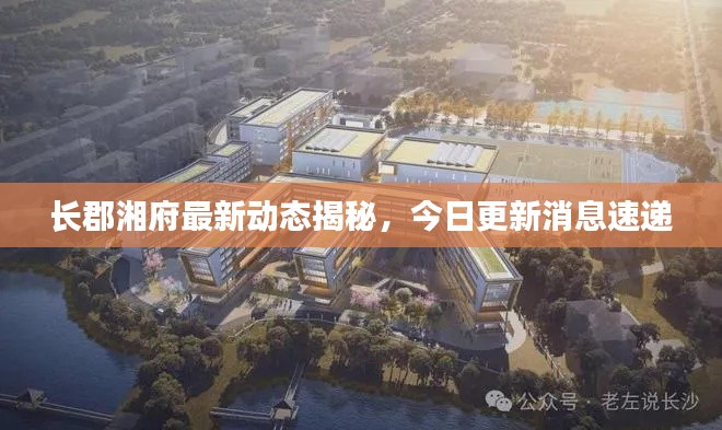 长郡湘府最新动态揭秘,今日更新消息速递