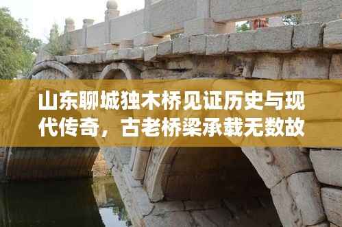 山东聊城独木桥见证历史与现代传奇,古老桥梁承载无数故事