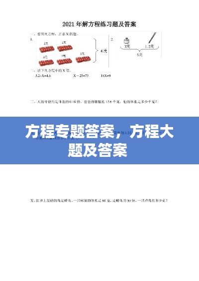 方程专题答案,方程大题及答案